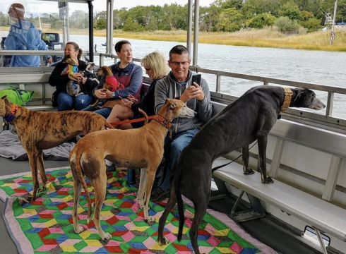 2022 Greyhounds Reach the Beach