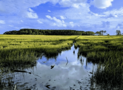 Hike Thompson Island Nature Preserve