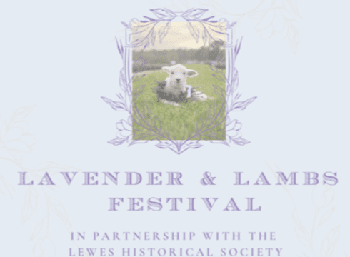 Lavender & Lambs Festival