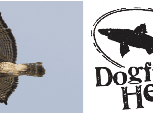OktoBIRDfest x Dogfish Head