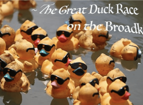 Bargains on the Broadkill and The Great Duck Race