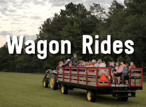 Wagon Rides