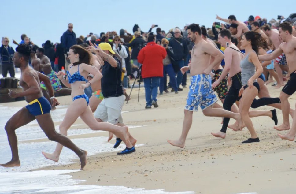 2024 Lewes Polar Bear Plunge Visit Southern Delaware