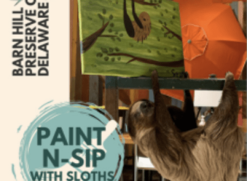 Paint N-Sip with Sloths