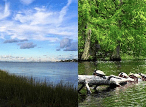 Bays, Bayous & Botanicals Tour