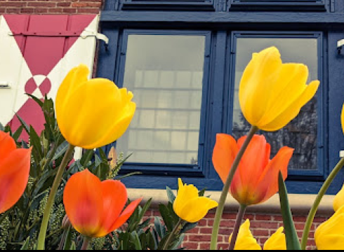 Tulip Crafts at the Zwaanendael Museum