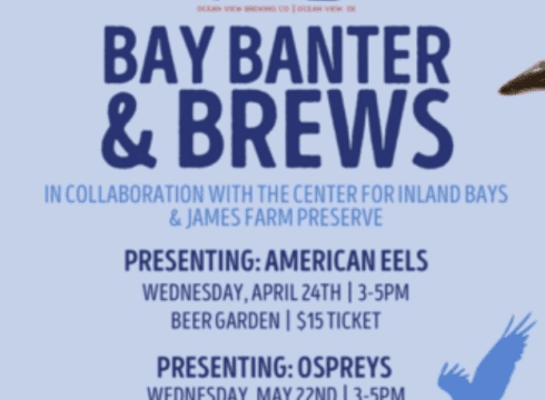 Bay Banter & Brews – Ospreys at Ocean View Brewing