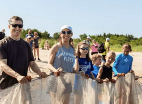 Seining the Bay