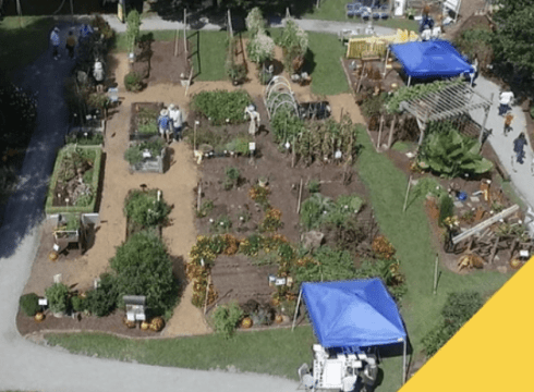 A Day In The Garden (Giving Back to Nature)