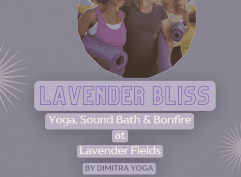 Lavender Bliss