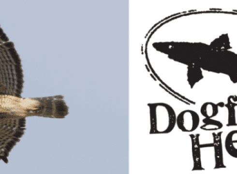 OktoBIRDfest x Dogfish Head