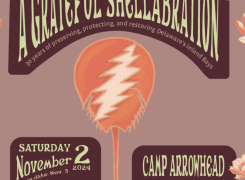 Grateful Shellabration