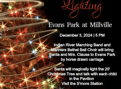 Tree Lighting at the Park