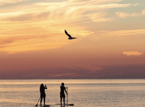 DELAWARE BEACH LIFE PHOTO CONTEST EXHIBIT