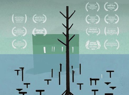 Green Screen Film Festival