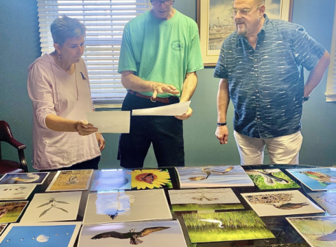 Through the Judge's Lens: Masters' Insights & Photo Workshop