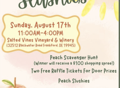Sunshine & Slushies Sip & Shop