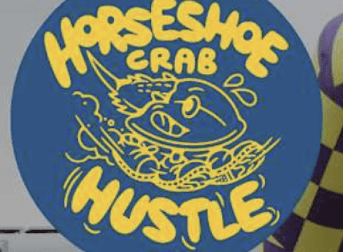 2025 Horseshoe Crab Hustle!