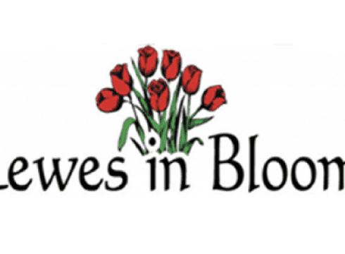 History in Bloom Walking Tours: