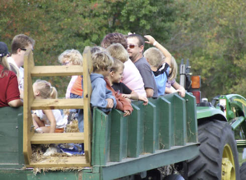 Beach Wagon Rides