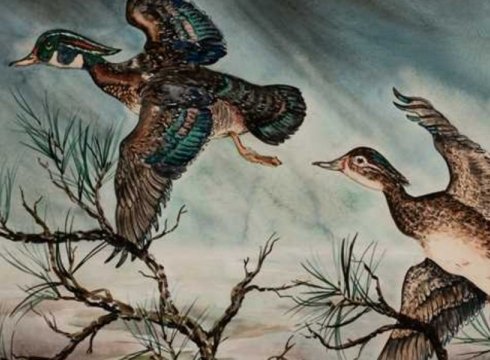 Self-Taught: Work from RAL's Fine Art Collections Highlighting Work from Self-Trained Artists