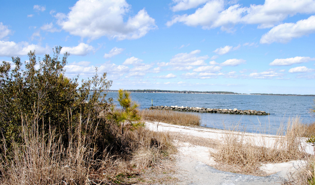 A Sunday Drive Hidden Gems of the Inland Bays