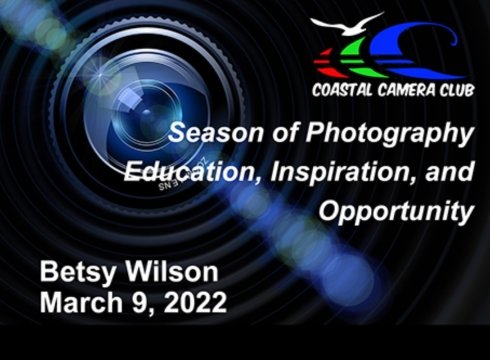 "Still Life - Beyond Fruit Bowls and Flowers" presented by Betsy Wilson