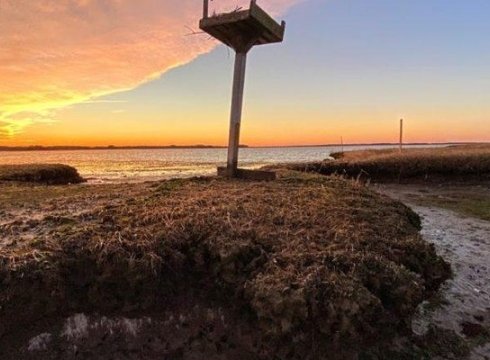 Sunset Stroll Through the Preserve