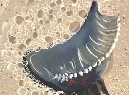 Swims, Flies or Crawls Art Exhibit