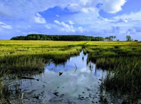 Hike Thompson Island Nature Preserve