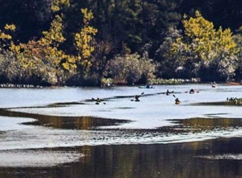 Broad Creek Kayak Excursions