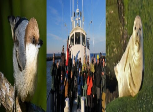 Beans, Birds & Beers: Lewes