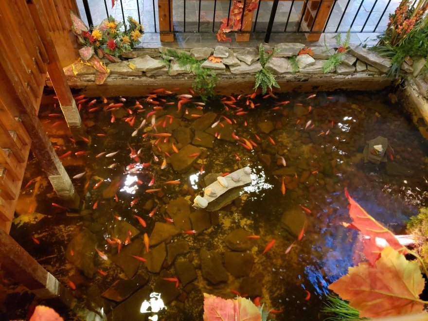 The Cultured Pearl Restaurant & Sushi Bar