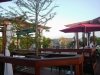 The Cultured Pearl Restaurant & Sushi Bar