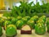 Chocolate Wave