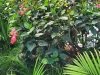 Bella Terra Landscape and Garden Center