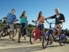 Pedego Electric Bikes Lewes