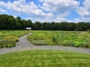 Delaware Botanic Gardens at Pepper Creek