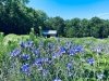 Delaware Botanic Gardens at Pepper Creek