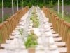 Brittingham Farms