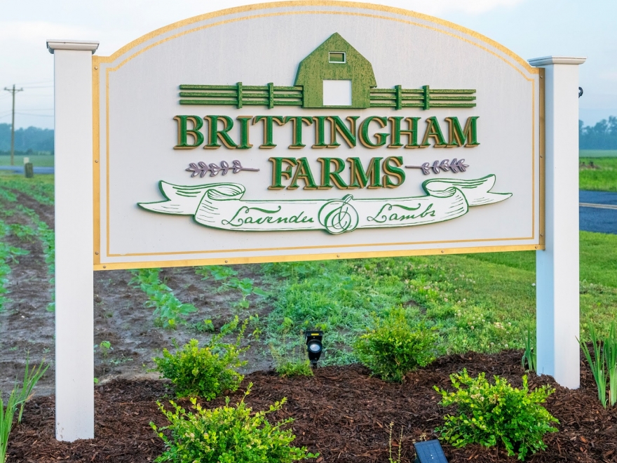 Brittingham Farms