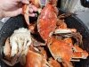 The Crab Connect