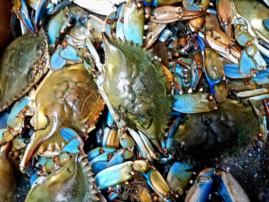Crab Barn Restaurant and Lounge