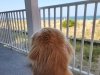Berkshire Hathaway HomeServices PenFed Realty: Rehoboth/Dewey Beach