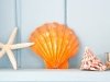 JACK LINGO REALTOR- Rehoboth Rentals
