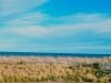 Crowley Associates Realty, Inc - Rehoboth