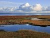 Crowley Associates Realty, Inc - Rehoboth
