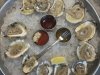FINS Oyster Bar & Grill
