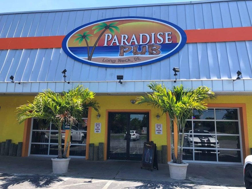 Paradise Pub - OnSite