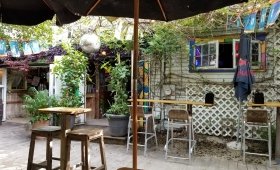 Purple Parrot Grill